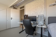 Goudzoeker 21-51.jpg
